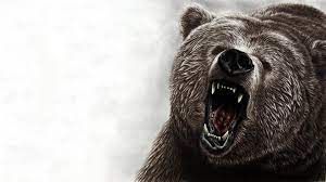 Polar bear, aurora borealis, northern lights, hd Hd Bear Wallpapers 1920 1200 Bear Wallpapers 53 Wallpapers Adorable Wallpapers Bear Wallpaper Bear Art Animal Wallpaper