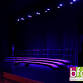 BFF Choir Concert event image