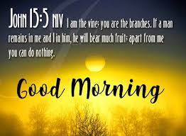 Pin On Morning Bible Quotes