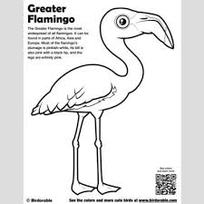 We've got really simple outlines for younger kids and some very intricate bird in habitat colouring designs for older children. Cute Bird Coloring Pages By Birdorable Free Downloads