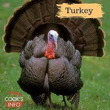 At 18 months, you can estimate the process weight to be 20% less than live weight. Turkey