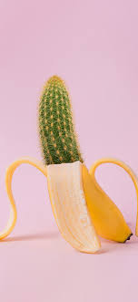 If you love the cool look of this designing, then download it for your iphone today. Bj86 Art Banana Cactus Wallpaper