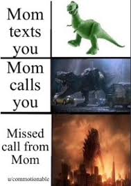 A funny miss you meme is what's needed in times when you're missing someone in your life! Missed Calls From Mom Death Memes