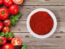 What Is Tomato Powder? Benefits, Uses & How to Make It – The ...