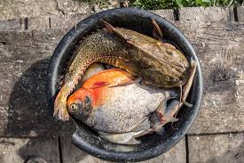 We headed to the agreed meeting point, the port of pucallpa, one of the most important ports in the area. Indigenous Community Calleria Cifor Knowledge