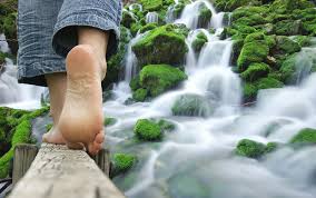 Centro Clinico_Rev 21 gennaio 2017