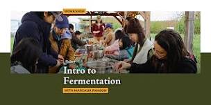 Intro to Fermentation