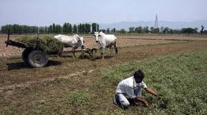 Basmati is the pride of our subcontinent
