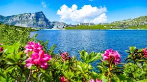 The village is located at 1,920 metres (6,300 ft) above sea level and is the heart of the resort. Facebook