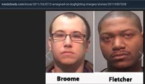 Michigan Dogfighting Busts