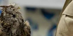 Wildlife Rehabilitation | Homeschool Happenings