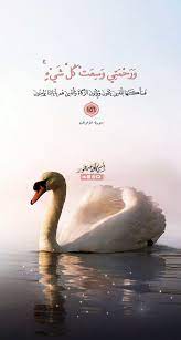 و رحمتي وسعت كل شيء islamic pictures arabic quotes poster