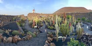 Jardin De Cactus Guatiza See 2 332 Reviews Articles And 2 116 Photos Of Jardin De Cactus Ranked No 1 On Tripadvisor Among 3 Attractions In Guatiza Con Immagini