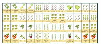 First Year Help With Layout Garden Layout Vegetable Square Foot Gardening Companion Planting