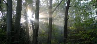 Windrather Tal Und Elfringhauser Schweiz Wandern Nrw Reitwege Ausflug