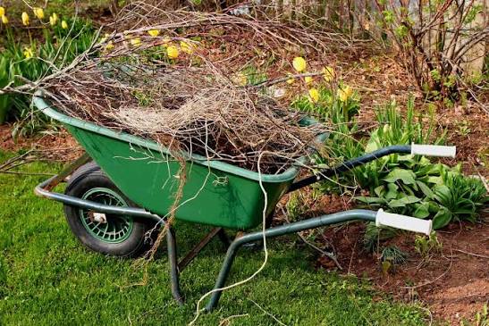 Complete Yard Cleanup Services
