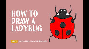 Download 8,456 ladybug drawing stock illustrations, vectors & clipart for free or amazingly low rates! How To Draw A Cartoon Ladybug