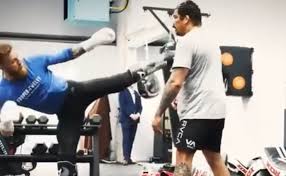 Conor mcgregor training with hans molenkamp | training world watch online