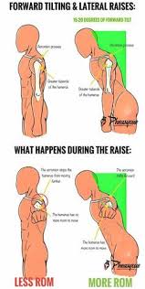 Shoulder Workout For Shoulder Workout For Size Lateral Raises If We Do Our Lateral Raises When S Exercicios De Treino Rotinas De Treino Treino Para Gluteos