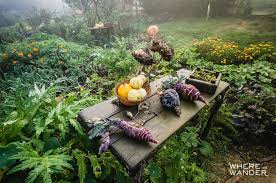 Roaming Hobbiton And The Shire Movie Set That Time I Was A Hobbit Where And Wander The Hobbit The Hobbit Movies The Shire