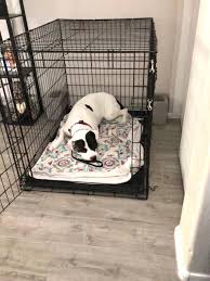 We did not find results for: L0sjju9gmhb6pm