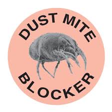 Bed Bug Blocker Hypoallergenic All In One Breathable Queen Mattress Cover Encasement Protector Zippered Mattress Covers Mattress Protector Mattress Encasement