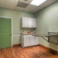 Island animal hospital in viera. Island Animal Hospital In Viera Cocoa Rockledge 14 Visitors