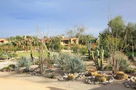 See more ideas about cactus, planting succulents, cacti and succulents. 68 Cactus Landscaping Ideas That Will Inspire You Garden Tabs