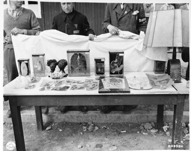 Nazismo: A tese de doutorado mais perversa da História | Ciência | EL PAÍS  Brasil