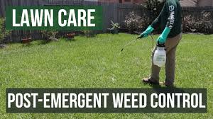 A pest is not just a word that's used to describe an annoyance; Post Emergent Weed Control A Lawn Care Guide Youtube