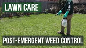 Diy how to install underground drippers. Diy Lawn Care How To Get Rid Of Weeds And Landscape Issues Best Lawn Care Products Available Solutions Pest Lawn