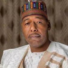 Borno state governor bans alcohol sale and consumption