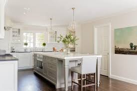 Maybe you would like to learn more about one of these? Gray Kitchen Island Fitted With Dog Bowls Transitional Kitchen