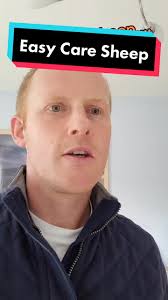 An intro to Easy Care Sheep. Goes to show its not just #arable farmers who  have an easy time of it! #scottishfarmers #scottishfarmer #scotlandfarming  #backbritishfarming🇬🇧 #backbritishfarming ...