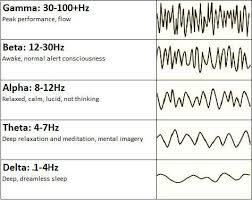 What Are Brainwaves Neuroscience Meditation