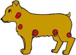 We can't tell if lymphoma has invaded those organs or not. Lymphoma In Dogs Mar Vista Animal Medical Center
