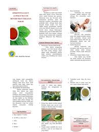 Karena daun alpukat dapat dengan cepat menurunkan tekanan darah tinggi. Leaflet Kandungan Daun Alpukat