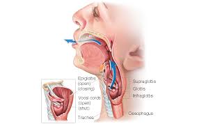 The vast majority of applicable cases are squamous cell carcinomas, but other epithelial tumors are also included. Laryngeal Cancer Voice Box Cancer Introduction Head And Neck Cancer Types Head And Neck Cancer Australia