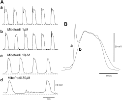 Image result for Mibefradil