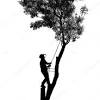 Posted in tree care and tree pruning | comments off on oak wilt pruning guidelines. 1