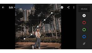 Membahas tentang preset atau rumus lightroom memang tidak akan ada habisnya. 2 Rumus Lightroom Dark Brown Keren Rumus Lightroom