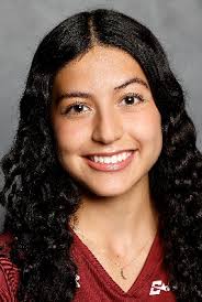 New Mexico State Volleyball