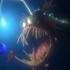 A barracuda eats coral and the eggs (except nemo), a angler fish and a shark tries to eat marlin and dory, but fails. What S The Scary Fish In Finding Nemo