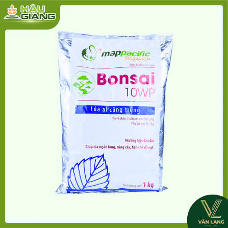 Bonsai 10WP