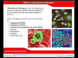 Pathogens standard covers all employers who require employees to perform duties that may expose them to bloodborne pathogens. Osha Bloodborne Pathogen Training Bloodborne Pathogen Video Youtube