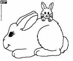 Juegos De Conejos Para Colorear Imprimir Y Pintar Dibujos De Animales Maniquies Dibujo Paginas Para Colorear
