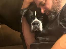 I wish we could all get together for a boxer play date. ❤️