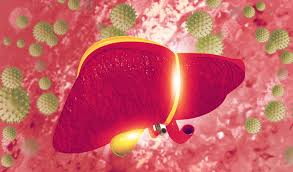 Infectious agents that cause hepatitis include viruses and parasites. Hepatitis C Clinic Fehv