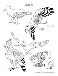 Select from 35870 printable crafts of cartoons, nature, animals, bible and many more. Eagles Coloring Page