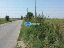 Vile de vanzare, oferta case, case noi si case vechi cauta si gaseste cu siguranta numai pe nozi.ro. Vanzare Teren Intravilan Herasti Giurgiu 2 Ha Glx119b0829